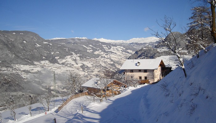 Bauernhof - Obermalid - Agriturismo